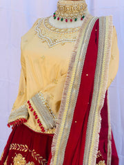 Velvet zarri Lehnga with Embellished Sillk Choli_